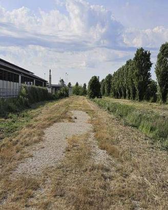 Immobile in asta di 30488 m² a Solesino