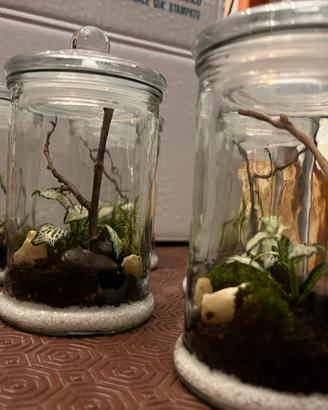 Terrario mini