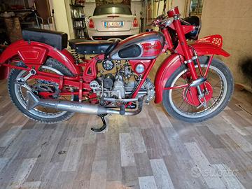 Moto Guzzi 250 Sport 1951 Restaurata