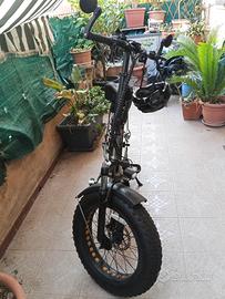 bicicletta elettrica 