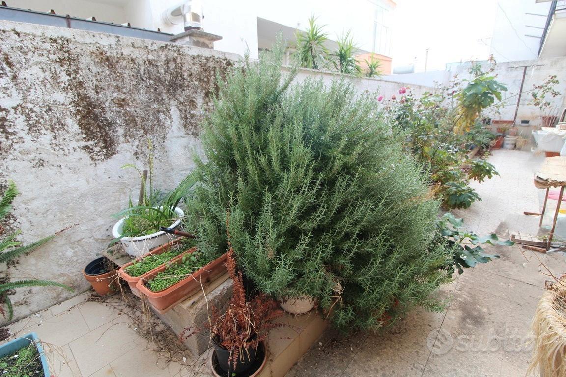 Apartment in Carosino, Taranto - Vista 4