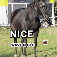 Fattrice quarter morella