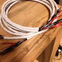 wireworld solstice 8 biwire 