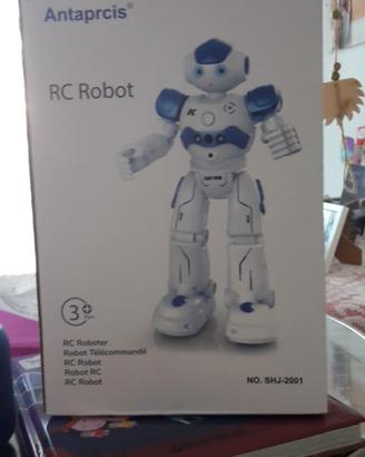 RC Robot