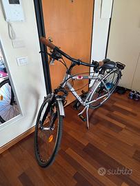 Splendida Bianchi Spillo 