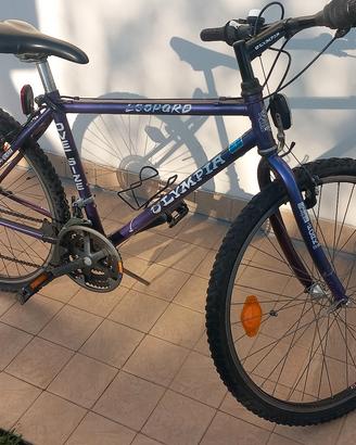 bicicletta olimpia  mtb
