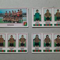 Lotto 4 Figurine Calciatori Panini 1978-79 TERNANA