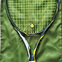 Racchetta Yonex EZONE100