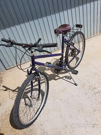 Bicicletta