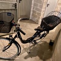 Bici da donna con doppio cestino