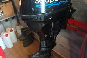 Fuoribordo Sea Parson  4 tempi 9,8 HP