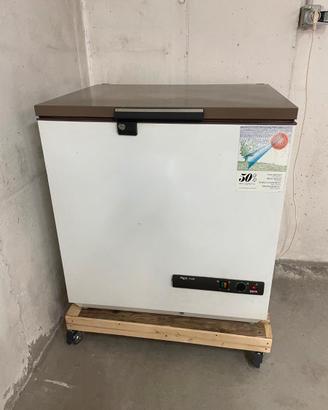 Congelatore a pozzetto REX R225