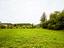 Immagine 19