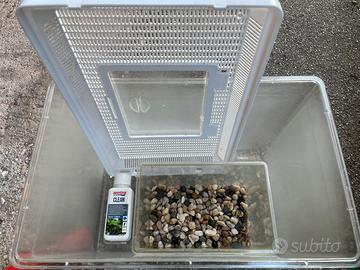 Vasca per pesci + accessori