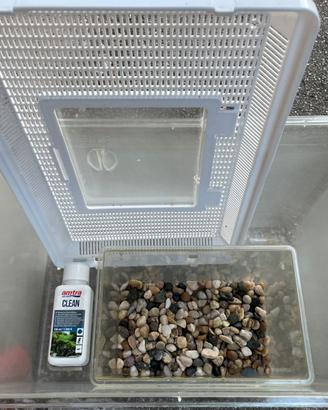 Vasca per pesci + accessori