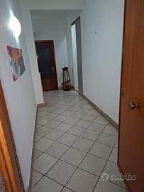 5 vani pressi Policlinico e ex Etna Bar