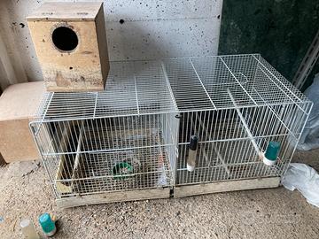 Gabbia per Papagalli