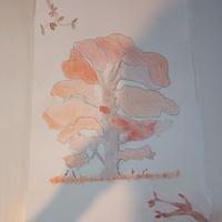 albero autunnale disegno a matita