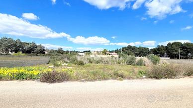 TER. AGRICOLO A MANDURIA