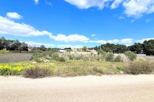 TER. AGRICOLO A MANDURIA