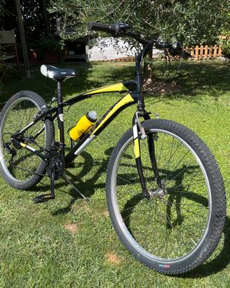 Bicicletta mountain bike