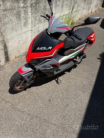 Mondial Altro modello - 2024