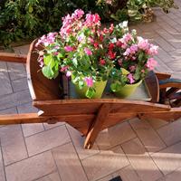 Carriola in legno di castagno