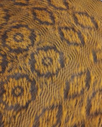 copriletto/tappeto/arazzo sardo