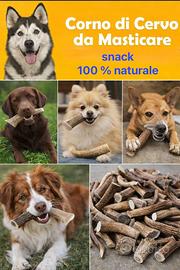 Masticativo per cani