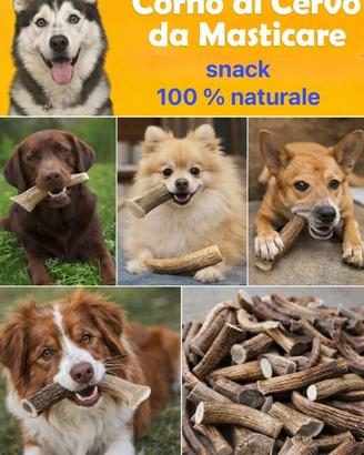 Masticativo per cani