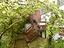 Immagine 26