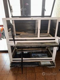 Gabbia per conigli,cavie,porcellini d’india