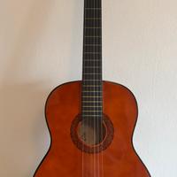 Chitarra eko CS10 con custodia