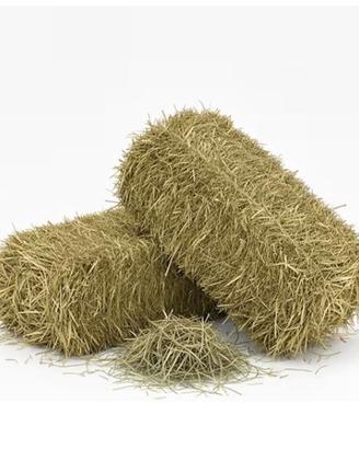 Ballette fieno