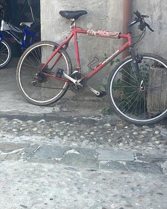 Bicicletta MTB