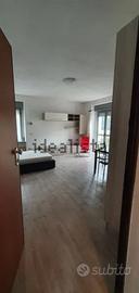 Ampio monolocale 50mq