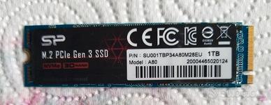 SSD SP M2 2280 da 1tb