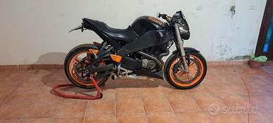 buell xb 12s