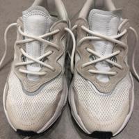 Adidas osweego