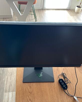Monitor Gaming 24,5” 240Hz G-Sync + Govee RGBIC