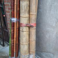 Canne di bambù ornamentali