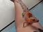Immagine 6