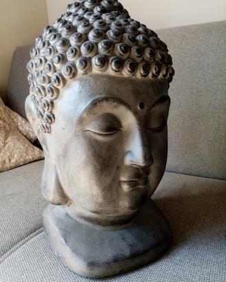 testa di Buddha 