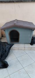 cuccia per cani