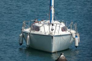 Barca a Vela - Tyl 23 - Nytec23