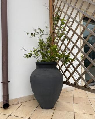Giara antica e vaso