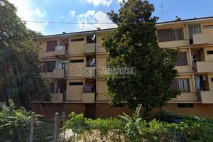 Appartamento con 3 camere in contesto con poche un