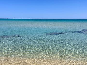 Monolocale Free Beach Costa Rei