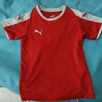 puma 7-8 anni