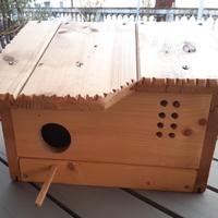 Casetta per uccellini